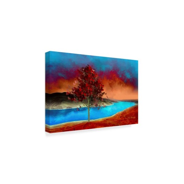 Ata Alishahi 'My Colorful World' Canvas Art,22x32